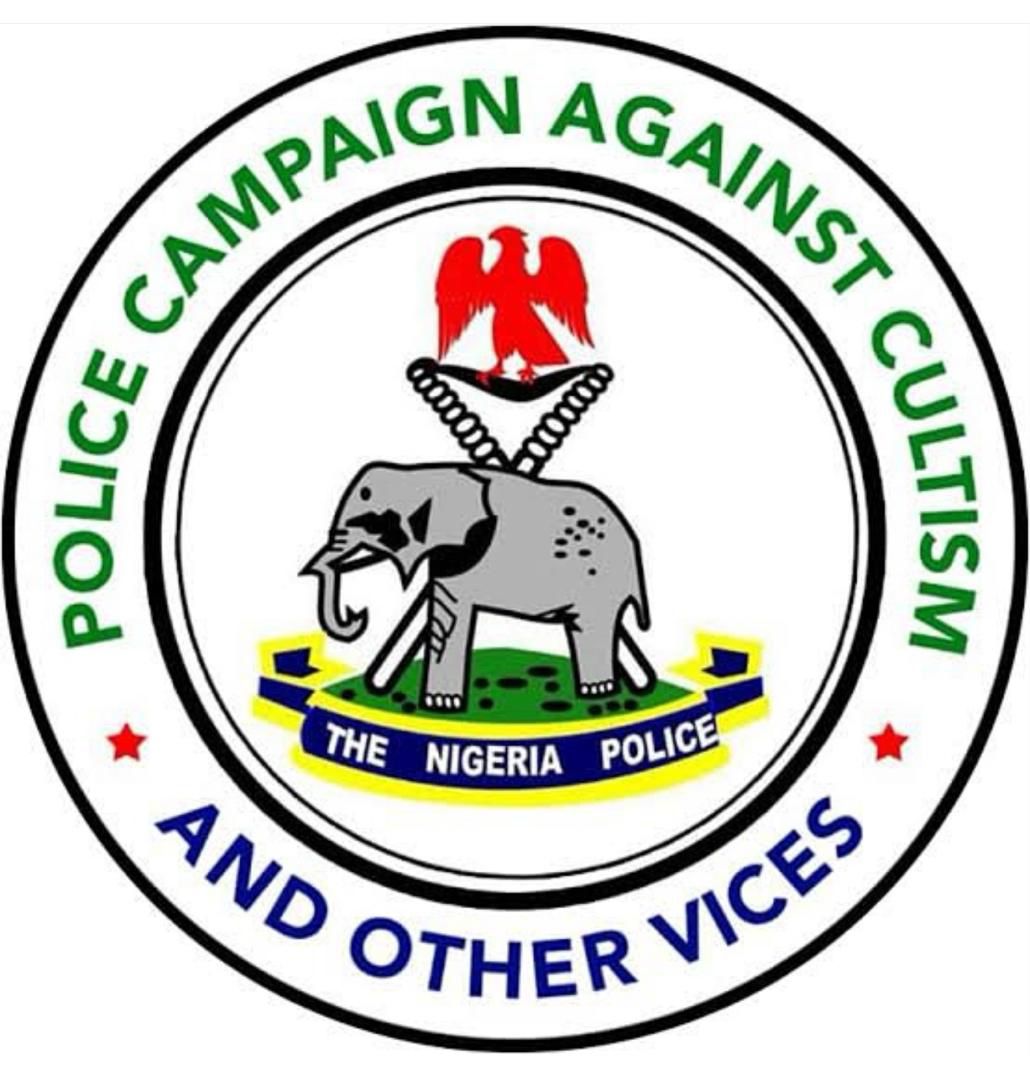 Partner Organization 10