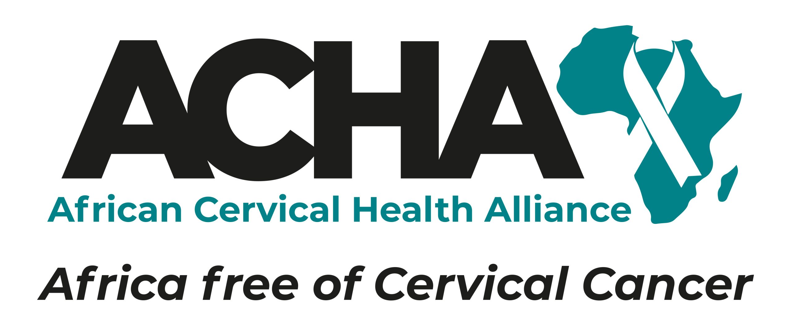 Partner Organization 5